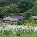 옥산천 이데일리