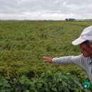 화성-장안-장안 8호 이미지