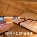 청루숲속의바다펜션 | 제주도 조천 삼다숲 펜션 3대 숙박 그리고 감동 조식 후기