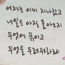 바이오메딕스코리아 이미지