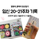 (쌍둥이 임신기록) 20-21주차 임신기록 / 20주차검진, 철분주사 / 미디어파사드