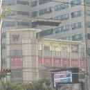 미앤미의원 | [인천/부평] 미앤미의원 부평점 남자 레이저제모 후기 !!(+젠틀맥스 프로 플러스)