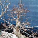 소사농장 이미지