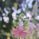 (주)세이지 이미지