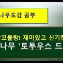 어떤나무K