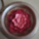 냥이멍이네 이미지