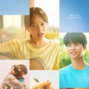 태양의 노래 (2025) 리뷰