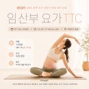 이안(EAN) - 중구 | [공지] ean, 임산부 요가 전문가 과정 38기 모집 | 현장에서 바로 적용하는 임산부 요가 TTC