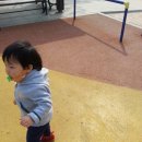 덕산어린이공원 이미지