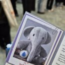 보스송 | 🎟️ 251122,251202,251210 엘리펀트송 후기