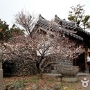 매화1공원 이미지