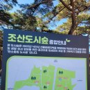 도시숲 산책길 | 양양산책코스 조산도시숲 낙산사근처산책길
