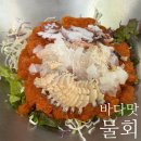[여수 물회맛집] 극락의 맛, 현지인이 인정하는 찐 돌산 맛집 '바다맛물회' 내돈내산 솔직후기