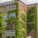 경기게임마이스터고등학교 이미지