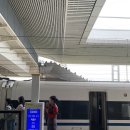 시안 근교 낙양 1박 2일 여행 후기 ｜ 가는 법, 추천 코스 총정리 (용문석굴, 낙읍고성, 야시장)