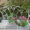 오색로뎀나무아래 이미지