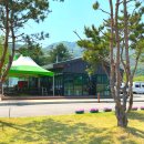 서울 근교 글램핑 춘천 리버위드 글램핑 힐링 솔직 후기