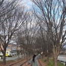 월하담 2 이미지