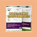 에키나포스 프로텍트정 천연 성분으로 감기 예방과 면역력 강화 구매 후기까지 완벽 정리