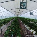 계룡산농산직영판매