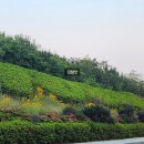 SK성모약국 이미지