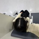 네일 플로콩
