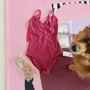 백조무도학원 | 발레일기_남편님의 발레 시작 1주년을 기념하는 발레 쇼핑 약간