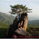 청풍리조트 힐하우스 이미지