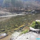 솔안마을 이미지