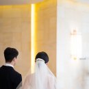 스냅 티스토리