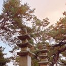 축령산 코지인 | [절] 109. 옥천 장령산 용암사