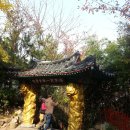 대변항2 이미지