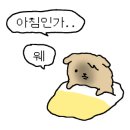신세계분식 - 중구 수표로 40-1 | 신세계분식