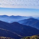 지리산리조트 티스토리