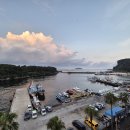 한라산둘레길 사려니 숲길 25.8.18 이미지