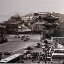 서울강남청과