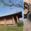 지혜한옥민박 이미지