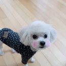 꽃개미용실 이미지