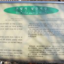 초암사삼층석탑 이미지