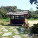 소나무정원 이미지