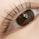 더나인뷰티 이미지