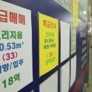 미래부동산중개사무소 이미지