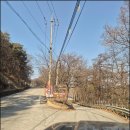 진천현대 | 충북 진천｜여행코스 추천 농다리, 초평호 미르309 출렁다리 방문기