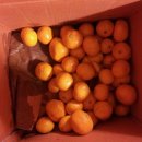 현대택배 이미지