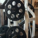 리액트짐 | [율하 피티] 리액트짐 체형분석기 분석을 통한 재활PT 상담 ‎후기