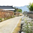 슬로시티삼지내마을 이미지