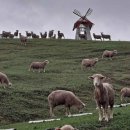 구름위의 테라스 1 | [강원도 평창군] 구름위의테라스