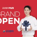 금성컴퍼니