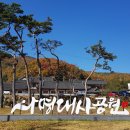 유정숲 공원