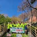 주정차단속-109 이미지